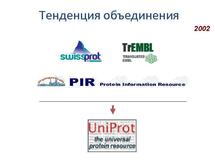 Тенденция объединения 2002 