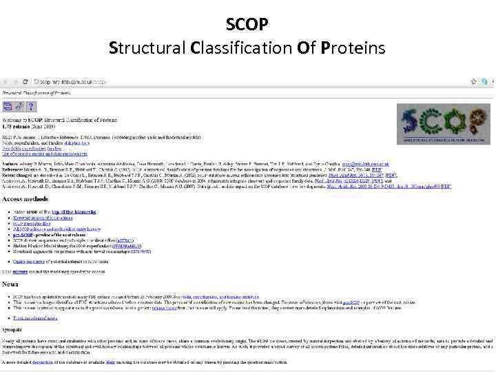 SCOP Structural Classification Of Proteins 