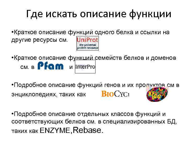 Где искать описание функции • Краткое описание функций одного белка и ссылки на другие