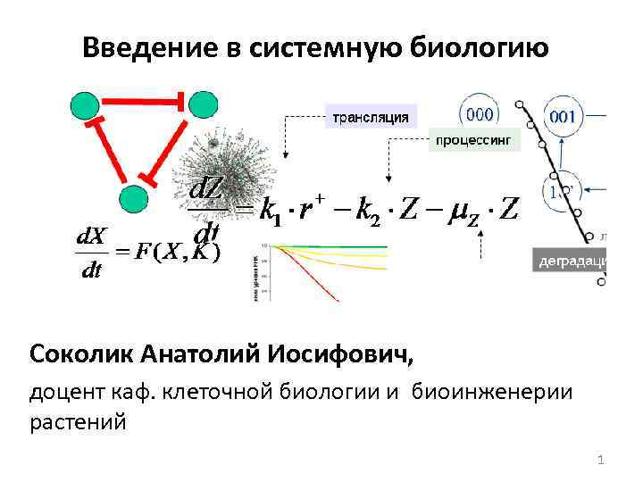 Введение в системную биологию Соколик Анатолий Иосифович, доцент каф. клеточной биологии и биоинженерии растений