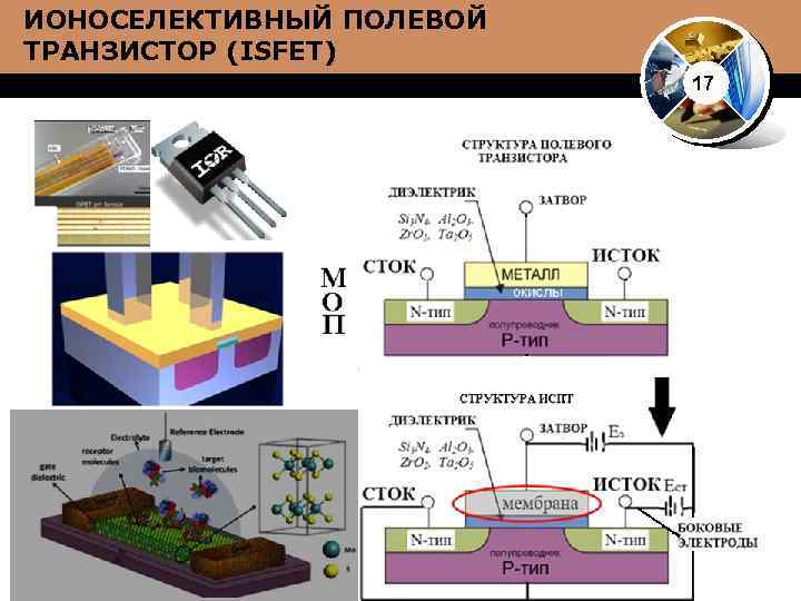 ИОНОСЕЛЕКТИВНЫЙ ПОЛЕВОЙ ТРАНЗИСТОР (ISFET) 17 окислы 