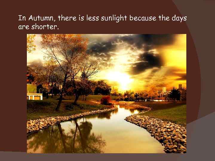 In Autumn, there is less sunlight because the days are shorter. 