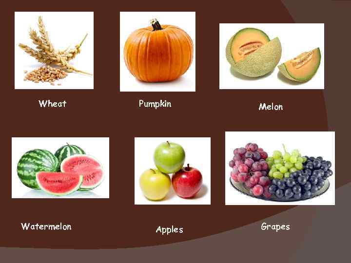 Wheat Watermelon Pumpkin Apples Melon Grapes 