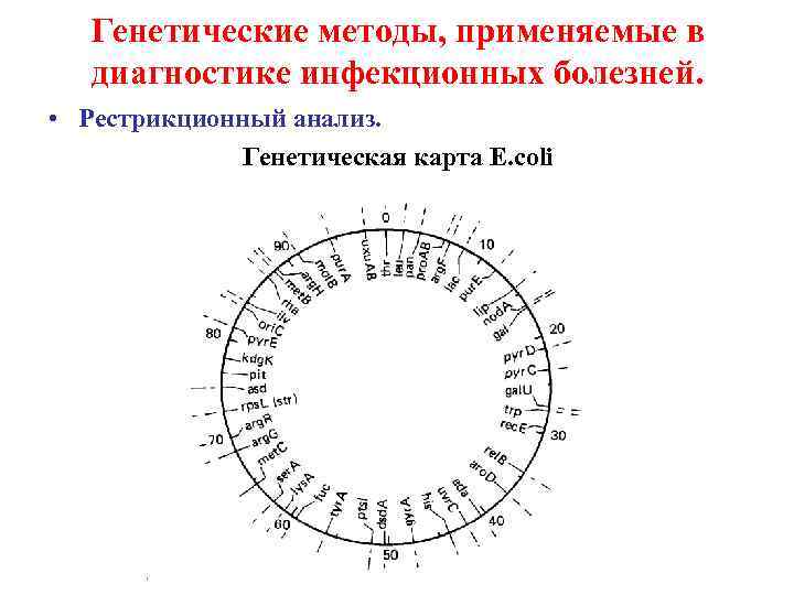 Генетические методы, применяемые в диагностике инфекционных болезней. • Рестрикционный анализ. Генетическая карта E. coli