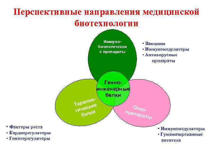 Перспективные направления медицинской биотехнологии Иммунобиологически е препараты • Вакцины • Иммуномодуляторы • Антивирусные препараты