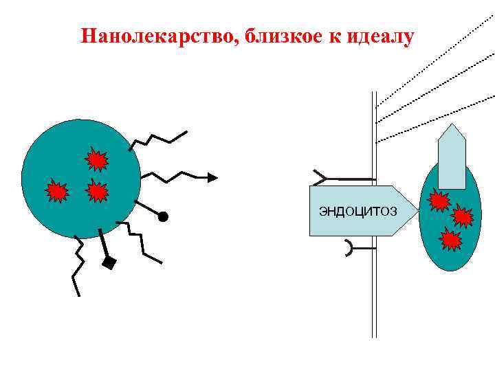 Нанолекарство, близкое к идеалу ЭНДОЦИТОЗ 