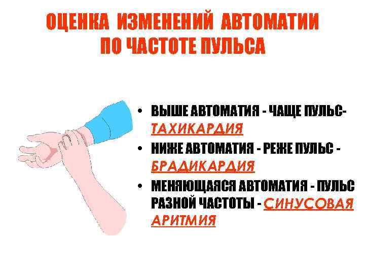 ОЦЕНКА ИЗМЕНЕНИЙ АВТОМАТИИ ПО ЧАСТОТЕ ПУЛЬСА • ВЫШЕ АВТОМАТИЯ - ЧАЩЕ ПУЛЬСТАХИКАРДИЯ • НИЖЕ