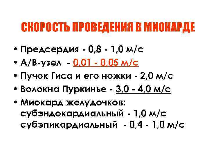 СКОРОСТЬ ПРОВЕДЕНИЯ В МИОКАРДЕ • Предсердия - 0, 8 - 1, 0 м/с •