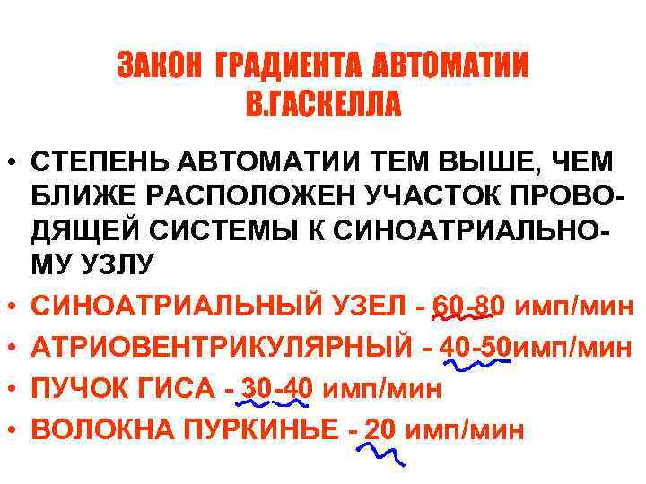 ЗАКОН ГРАДИЕНТА АВТОМАТИИ В. ГАСКЕЛЛА • СТЕПЕНЬ АВТОМАТИИ ТЕМ ВЫШЕ, ЧЕМ БЛИЖЕ РАСПОЛОЖЕН УЧАСТОК