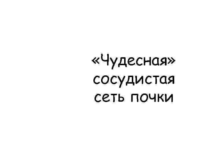  «Чудесная» сосудистая сеть почки 