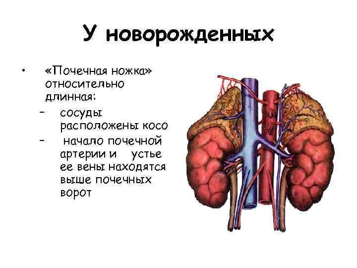 Длинная ножка конденсатора это