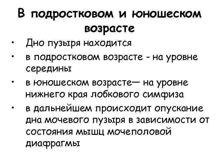  • • В подростковом и юношеском возрасте Дно пузыря находится в подростковом возрасте