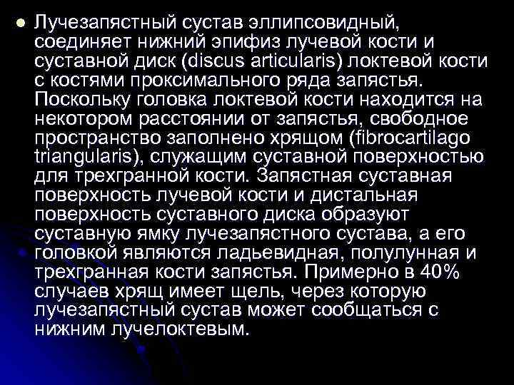 l Лучезапястный сустав эллипсовидный, соединяет нижний эпифиз лучевой кости и суставной диск (discus articularis)