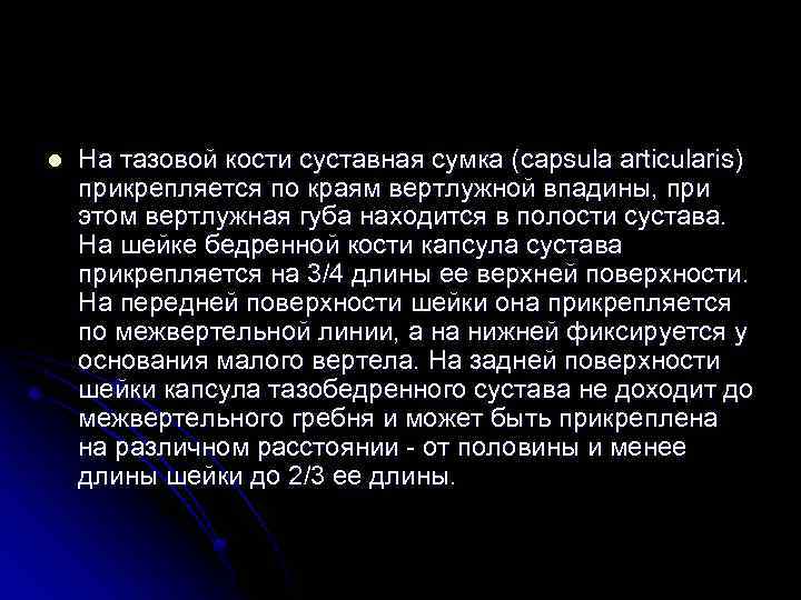 l На тазовой кости суставная сумка (capsula articularis) прикрепляется по краям вертлужной впадины, при