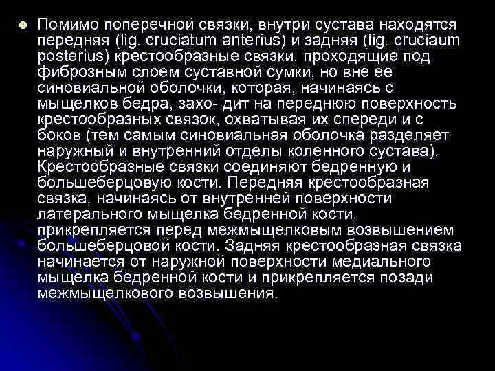 l Помимо поперечной связки, внутри сустава находятся передняя (lig. cruciatum anterius) и задняя (lig.