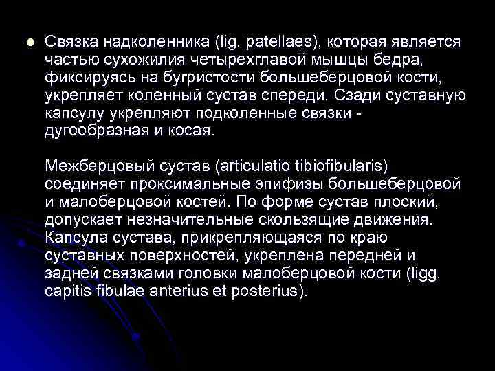 l Связка надколенника (lig. patellaes), которая является частью сухожилия четырехглавой мышцы бедра, фиксируясь на