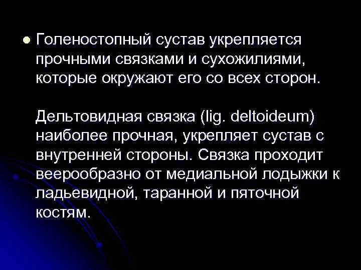 l Голеностопный сустав укрепляется прочными связками и сухожилиями, которые окружают его со всех сторон.