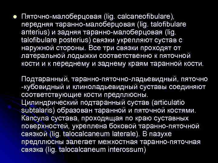 l Пяточно-малоберцовая (lig. calcaneofibulare), передняя таранно-малоберцовая (lig. talofibulare anterius) и задняя таранно-малоберцовая (lig. talofibulare