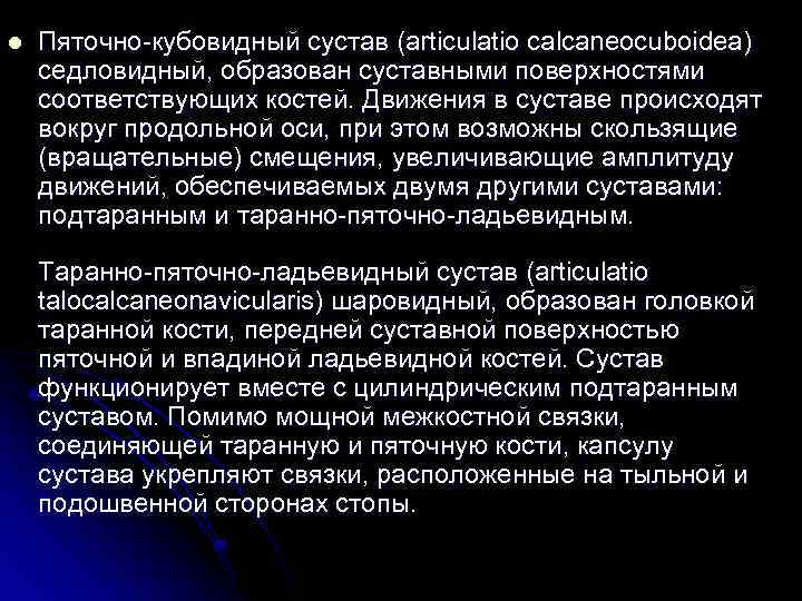 l Пяточно-кубовидный сустав (articulatio calcaneocuboidea) седловидный, образован суставными поверхностями соответствующих костей. Движения в суставе