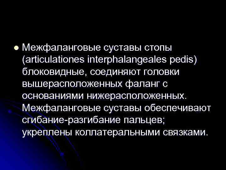 l Межфаланговые суставы стопы (articulationes interphalangeales pedis) блоковидные, соединяют головки вышерасположенных фаланг с основаниями