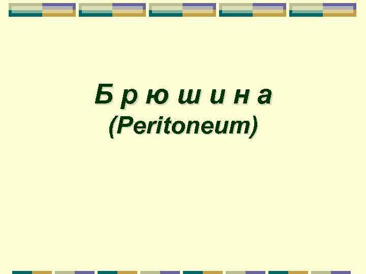 Брюшина (Peritoneum) 