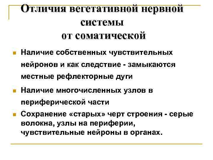 Отличия вегетативной нервной системы от соматической n Наличие собственных чувствительных нейронов и как следствие