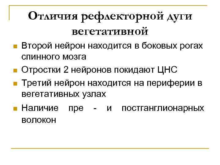 Отличия рефлекторной дуги вегетативной n n Второй нейрон находится в боковых рогах спинного мозга