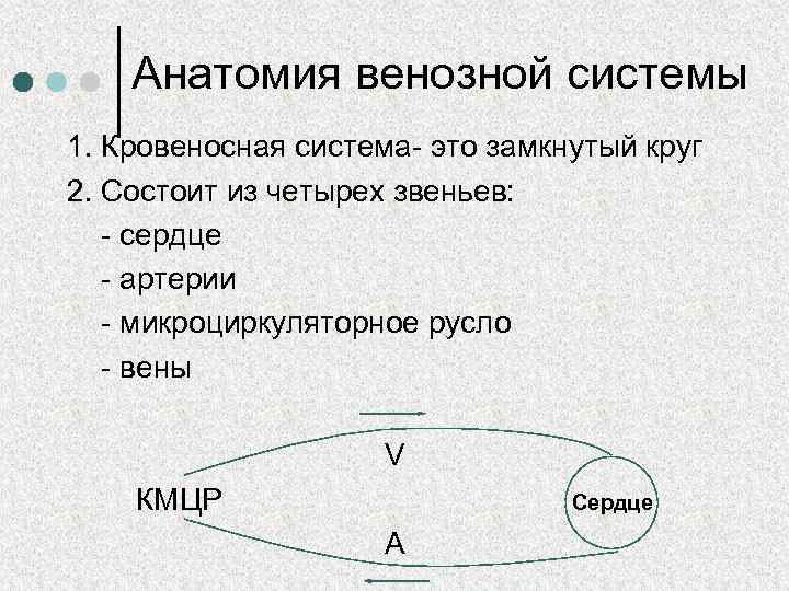 Анатомия венозной системы 1. Кровеносная система- это замкнутый круг 2. Состоит из четырех звеньев: