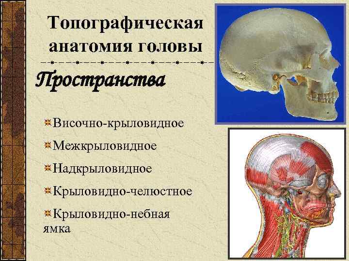 Пространства головы