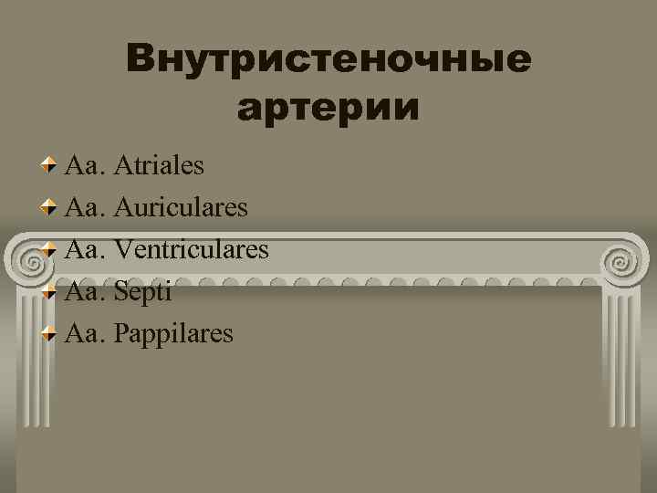 Внутристеночные артерии Aa. Atriales Aa. Auriculares Aa. Ventriculares Aa. Septi Aa. Pappilares 