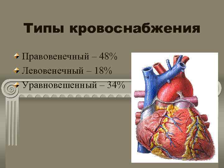 Типы кровоснабжения Правовенечный – 48% Левовенечный – 18% Уравновешенный – 34% 