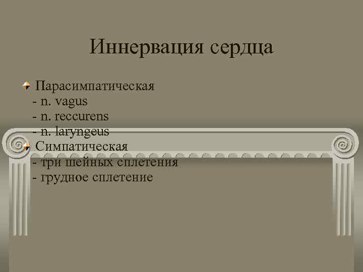 Иннервация сердца Парасимпатическая - n. vagus - n. reccurens - n. laryngeus Симпатическая -
