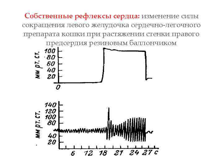 Собственные рефлексы сердца: изменение силы сокращения левого желудочка сердечно-легочного препарата кошки при растяжении стенки