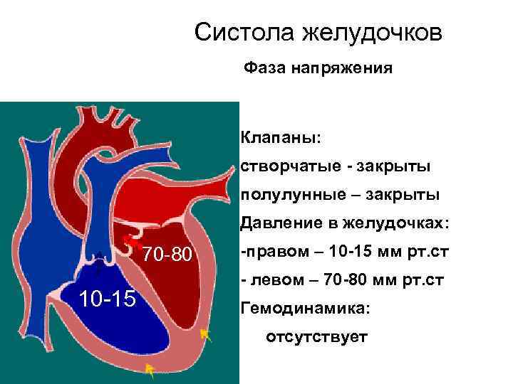 Систола желудочков Фаза напряжения Клапаны: створчатые - закрыты полулунные – закрыты Давление в желудочках: