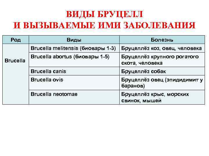 ВИДЫ БРУЦЕЛЛ И ВЫЗЫВАЕМЫЕ ИМИ ЗАБОЛЕВАНИЯ Род Болезнь Brucella melitensis (биовары 1 -3) Brucella