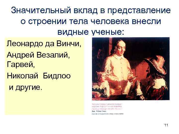 Значительный вклад в представление о строении тела человека внесли видные ученые: Леонардо да Винчи,