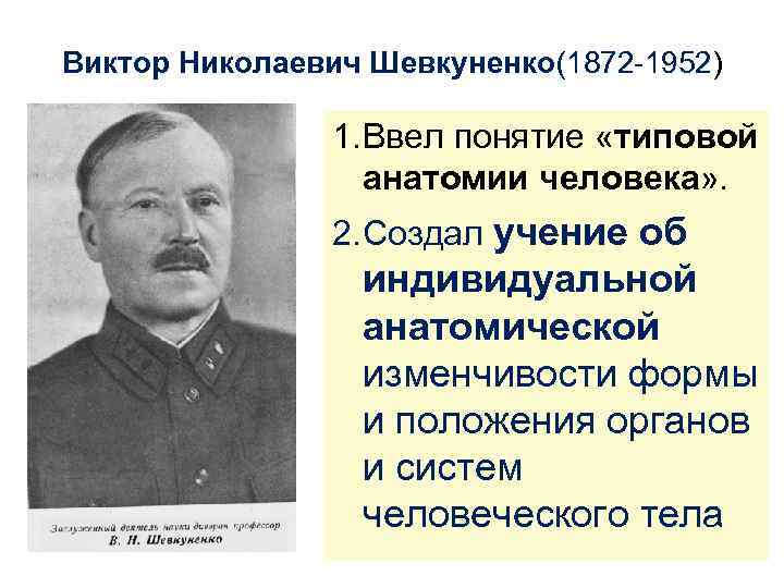 Виктор Николаевич Шевкуненко(1872 -1952) 1. Ввел понятие «типовой анатомии человека» . 2. Создал учение