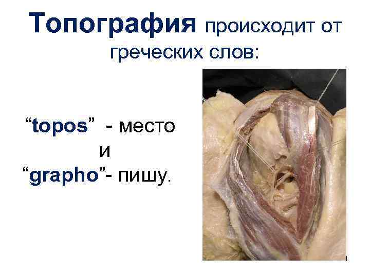 Топография происходит от греческих слов: “topos” - место и “grapho”- пишу. 4 