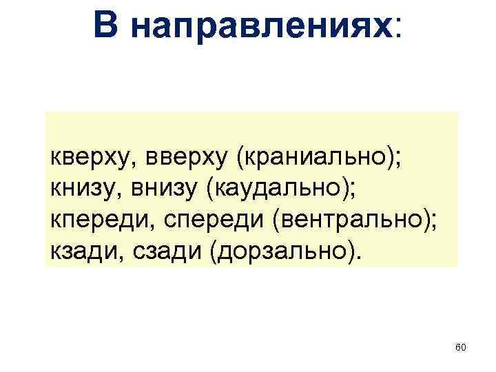 В направлениях: кверху, вверху (краниально); книзу, внизу (каудально); кпереди, спереди (вентрально); кзади, сзади (дорзально).