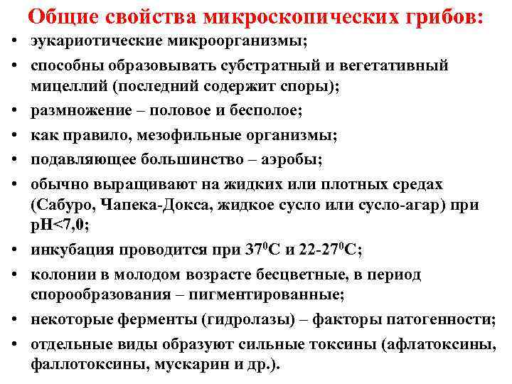 Общие свойства микроскопических грибов: • эукариотические микроорганизмы; • способны образовывать субстратный и вегетативный мицеллий