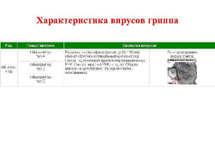 Характеристика вирусов гриппа 