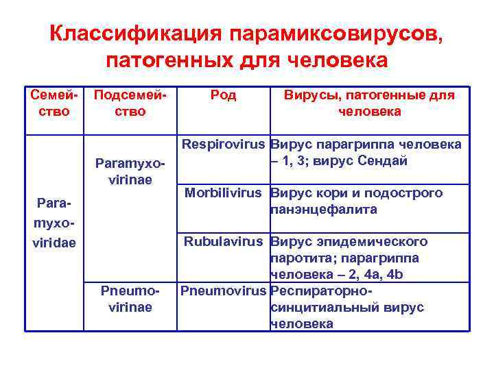 Парамиксовирусы