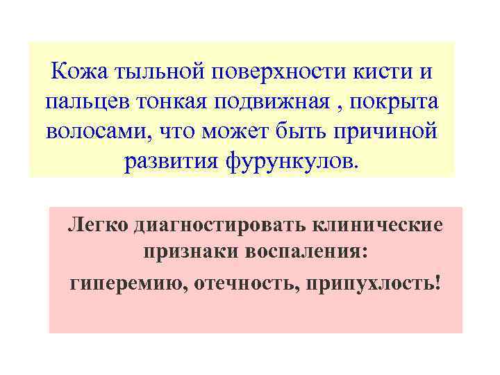 Кожа тыльной поверхности кисти и пальцев тонкая подвижная , покрыта волосами, что может быть