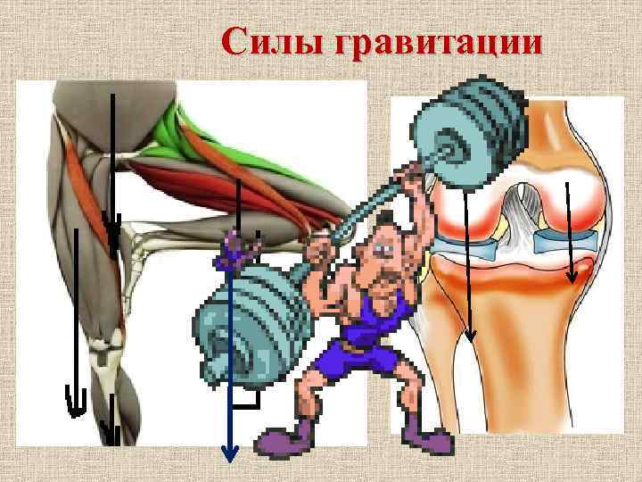 Силы гравитации 