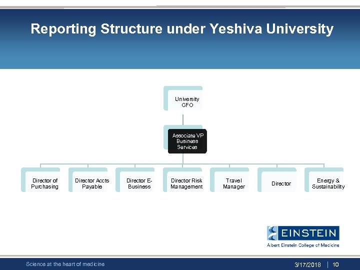 Reporting Structure under Yeshiva University CFO Associate VP Business Services Director of Purchasing Director