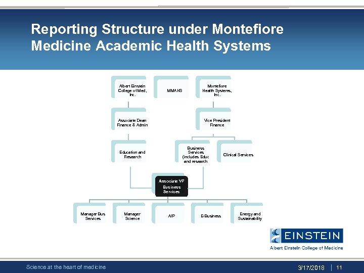 Reporting Structure under Montefiore Medicine Academic Health Systems Albert Einstein College of Med, Inc.