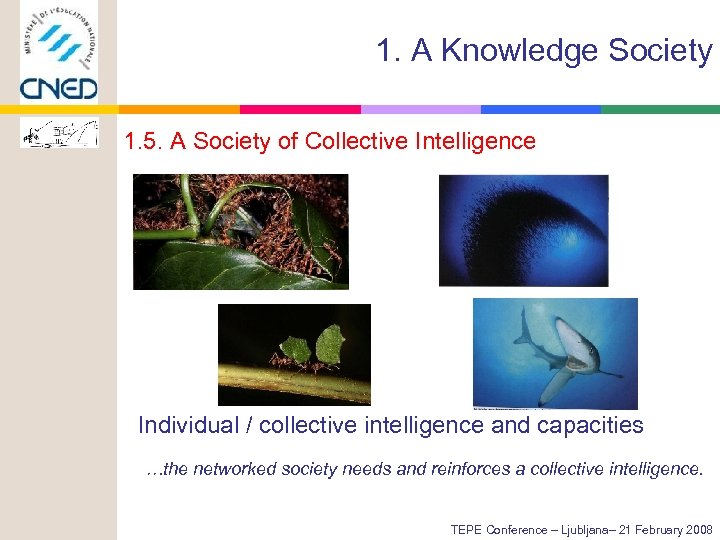 1. A Knowledge Society 1. 5. A Society of Collective Intelligence Individual / collective