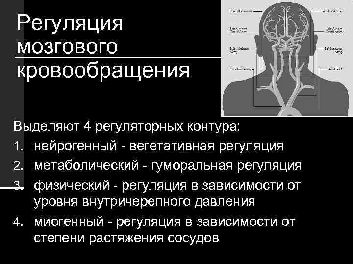 Регуляция мозгового кровообращения Выделяют 4 регуляторных контура: 1. нейрогенный - вегетативная регуляция 2. метаболический