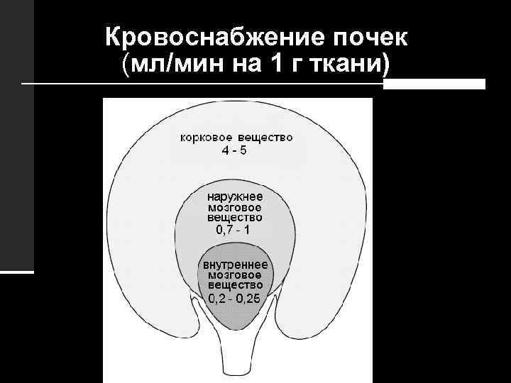 Кровоснабжение почек (мл/мин на 1 г ткани) 