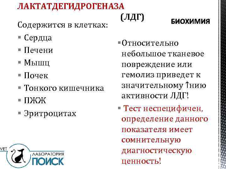 ЛАКТАТДЕГИДРОГЕНАЗА (ЛДГ) Содержится в клетках: § Сердца § Относительно § Печени небольшое тканевое §